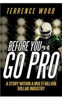 Before You Go Pro: A Story Within a Multi-Billion Dollar Industry(English)