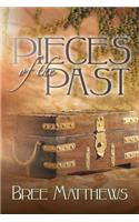 Pieces of the Past