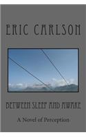 Between Sleep and Awake