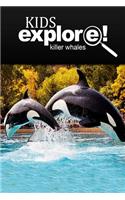 Killer Whales - Kids Explore