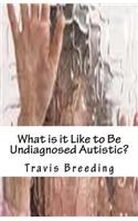 What is it Like to Be Undiagnosed Autistic?