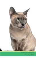 Tonkinese Cat Presents: Cat Facts Workbook. Tonkinese Cat Presents Cat Facts Workbook with Self Therapy, Journalling, Productivity Tracker with Self Therapy, Journalling, Productivity Tracker Workbook. Includes: Space for Notes, to Do Lists, Brains