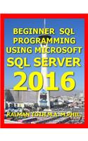 Beginner SQL Programming Using Microsoft SQL Server 2016