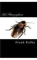 Metamorphosis
