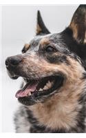German Shepherd Dog Pup Puppy Doggie Notebook Bullet Journal Diary Composition Book Notepad - Cold Season
