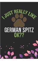 I Just Really Like German Spitz Ok?: Cool German Spitz Dog Journal Notebook - German Spitz Puppy Lover Gifts - Funny German Spitz Dog Notebook - German Spitz Owner Gifts. 6 x 9 in 120 p