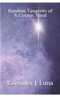 Random Tangents of a Cosmic Mind