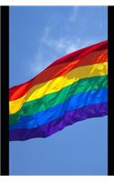 Maga!: Make America Gay Again!