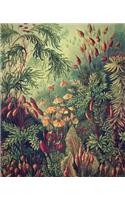Muscinae Mosses Journal Notebook: Diary for a Nature Enthusiast
