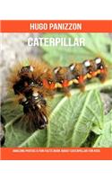 Caterpillar