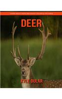 Deer! Learn about Deer and Enjoy Colorful Pictures