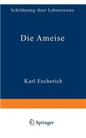 Die Ameise
