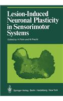 Lesion-Induced Neuronal Plasticity in Sensorimotor Systems