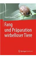 Fang Und Präparation Wirbelloser Tiere