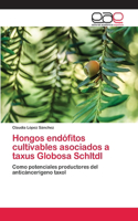 Hongos endófitos cultivables asociados a taxus Globosa Schltdl