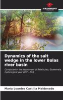 Dynamics of the salt wedge in the lower Bolas river basin