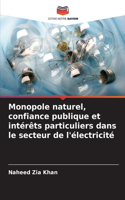 Monopole naturel, confiance publique et intérêts particuliers dans le secteur de l'électricité