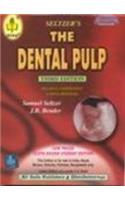 The Dental Pulp, 3rd Edition: Biologic Considerations In Dental Procedures