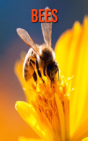 Bees: Fun Learning Facts About Bees