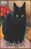 Black Cats 2021 Wall Calendar: beautiful Black Cats2021 Wall Calendar 8.5" x 8.5" glossy finish