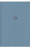 Talmud of the Land of Israel, Volume 17