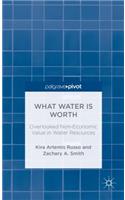 What Water Is Worth: Overlooked Non-Economic Value in Water Resources