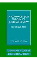 Common Law Theory of Judicial Review