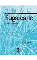 Sugarcane