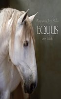 Equus 2019 Wall Calendar