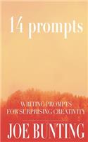 14 Prompts