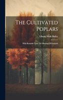 Cultivated Poplars