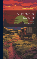 Splendid Hazard