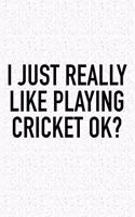 I Just Really Like Playing Cricket Ok?: A 6x9 Inch Matte Softcover Diary Notebook with 120 Blank Lined Pages and a Funny Sports Fanatic Cover Slogan