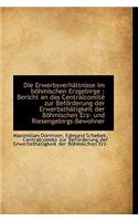 Die Erwerbsverh Ltnisse Im B Hmischen Erzgebirge: Bericht an Das Centralcomit Zur Bef Rderung Der