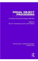 Visual Object Processing