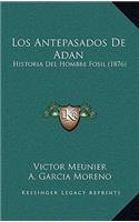 Antepasados De Adan