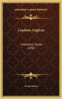 Caudatus Anglicus