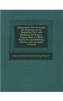 Explication Des Ouvrages de Peinture Et de Sculpture de L' Cole Moderne de France, Expos S Dans Le Mus E Royal Du Luxembourg, Destin Aux Artistes Viva