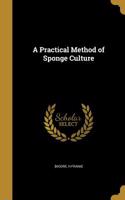 A Practical Method of Sponge Culture