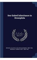 Sex-linked Inheritance in Drosophila