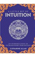 Little Bit of Intuition, A: An Introduction to Extrasensory Perception(Little Bit Series)