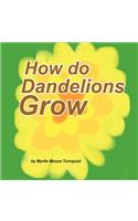 How do Dandelions Grow
