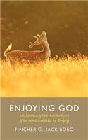 Enjoying God