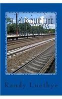 St. Louis Blue Line Train Business Directory