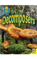 Decomposers