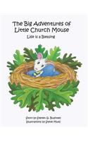 Big Adventures of Little Church Mouse