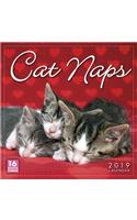 2019 Cat Naps 16-Month Wall Calendar: By Sellers Publishing
