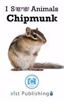 Chipmunk