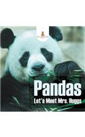Pandas - Let's Meet Mrs. Huggs