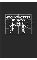 Groundhopper at work